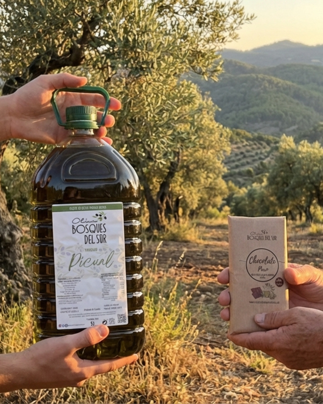 Garrafas de Aceite de Oliva Virgen Extra